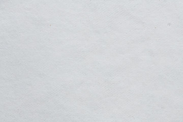 Fototapeta premium empty textured paper surface as background 
