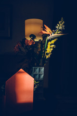 The colorful flowers.