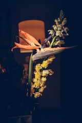 The colorful flowers.