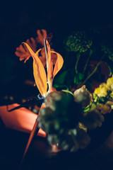 The colorful flowers.