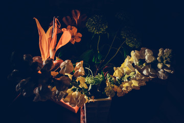 The colorful flowers.