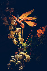 The colorful flowers.