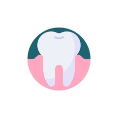 Root tooth flat icon. Round colorful button, Healthy human tooth circular vector sign. Dental care flat style design
