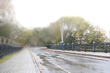 Autumn backgroun rain in the park