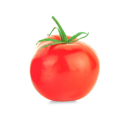 tomatoes isolated on the white background