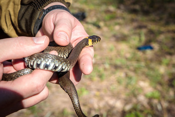 so ordinary in the hands