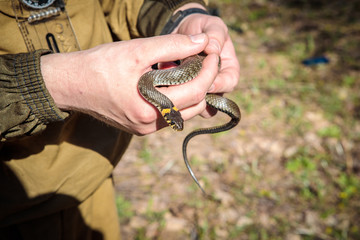 so ordinary in the hands