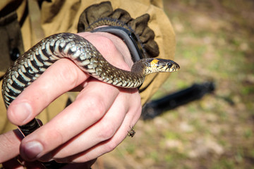 so ordinary in the hands