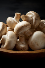 Mushrooms close up