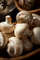 Mushrooms close up