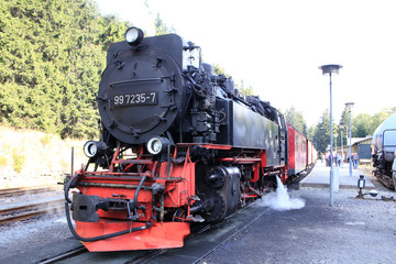 Fototapeta premium Brocken railroad, Harz Narrow Gauge Railway, Harz, Germany, Europe