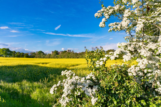 Raglan, Monmouthshire, Wales