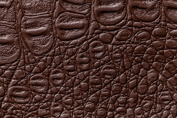 Fototapeta na wymiar Dark brown leather texture background, closeup. Reptile skin, macro.