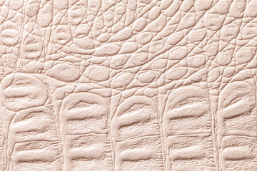 Beige leather texture background, closeup. Reptile skin, macro.