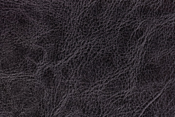 Dark gray leather texture background, closeup. Black cracked backdrop from wrinkle skin