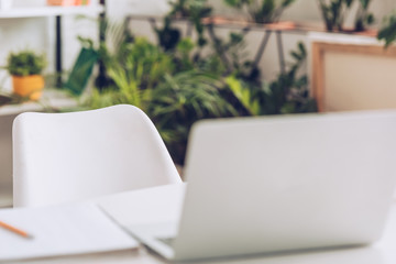 Fototapeta premium selective focus of laptop on white desk in room with lush green plants