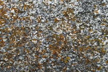 Stone wall background in different variations