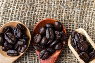 Coffee beans in wooden spoon. Close up macro photography.