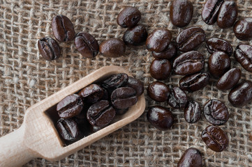 Coffee bean macro background. Arabic roasting coffee - ingredient of hot beverage.