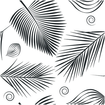 Black and white plant pattern of palm leaves on white background