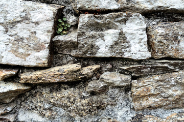 Stone wall background in different variations