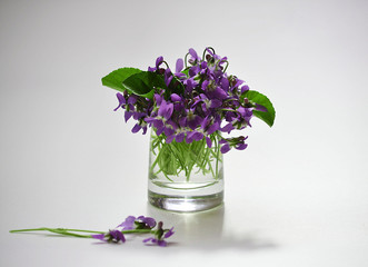 Bouquet of violets in small glass vase isolated on white