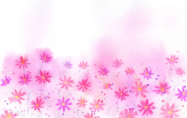 コスモスの背景　水彩イラスト