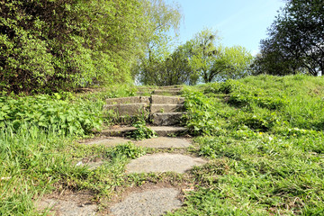 Obraz premium Background cement plates in the park
