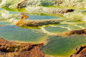 Acid ponds in Dallol site in the Danakil Depression in Ethiopia, Africa