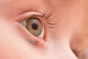 Children's right eye and swollen barley on the lower eyelid. Macro, close-up