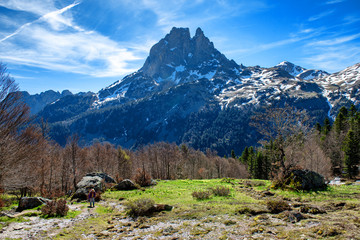 view of Pic du Midi Ossau in springtime, french Pyrenees