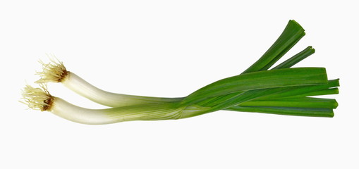  Green onion isolated on white background