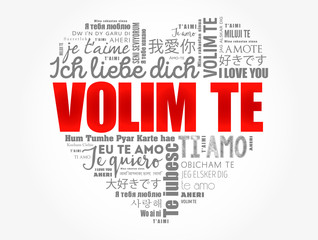 Fototapeta na wymiar Volim te, I Love You in Croatian, word cloud love heart in different languages of the world