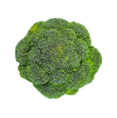 Broccoli isolated on a white background.
