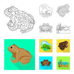 Isolated object of wildlife and bog icon. Set of wildlife and reptile stock vector illustration.