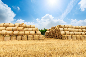 Straw bales on farmland with blue cloudy sky