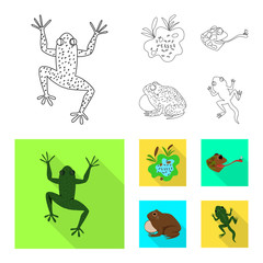 Vector illustration of wildlife and bog icon. Collection of wildlife and reptile stock vector illustration.