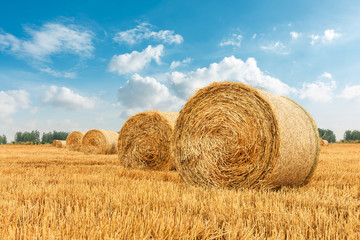 Straw bales on farmland with blue cloudy sky