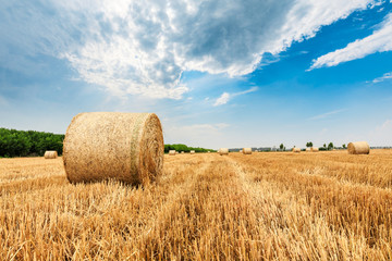 Fototapeta na wymiar Straw bales on farmland with blue cloudy sky