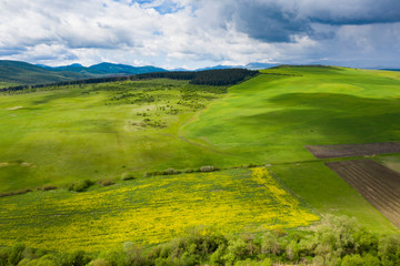 Green meadows of Transylvania in the spring.