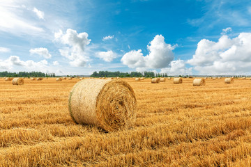 Straw bales on farmland with blue cloudy sky