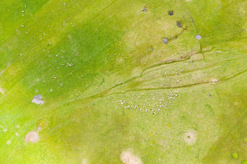 Grazing ships drone view.