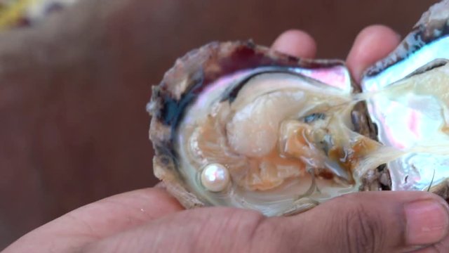 Close up shot of a pearl in Ajman United Arab Emirate
