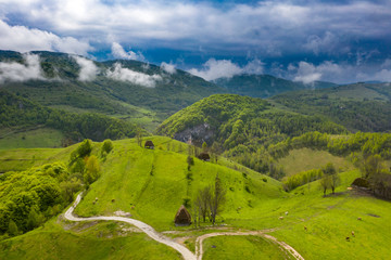 Green meadows of Transylvania in the spring.