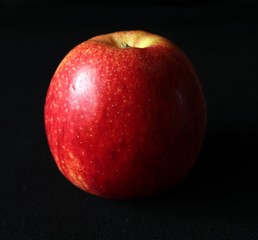 Fototapeta na wymiar Selective focus on Single red royal gala apple against black background,Scientific name Malus domestica 'Gala'