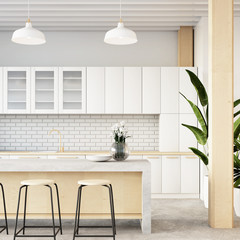Loft kitchen room interior / 3D rendering