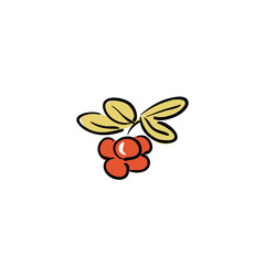 berry mix isolated on a white background