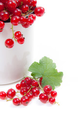 White cup with red currant berry in it and small bunch of red currant with green leaf  isolated on white..