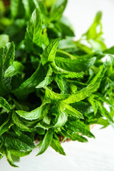 Fresh green mint on white background