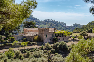 Fototapeta na wymiar View of a mallorca architecture farm in the countryside